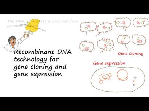 Recombinant DNA Technology for Cloning and Gene Expression Tutorial