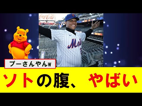 【悲報】15年1147億円男・ソトさん、ポッコリお腹で登場「くまのプーさんのようだ」【なんJ プロ野球反応集】【2chスレ】【5chスレ】