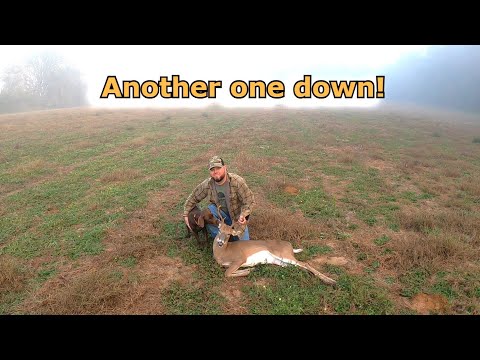 Another whitetail down! Self filmed deer hunt