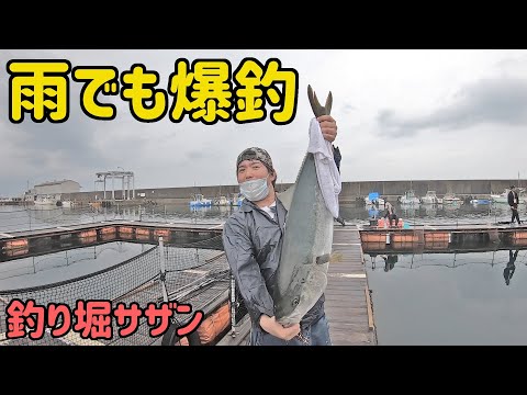 【海上釣堀サザン】雨でも釣り堀って釣れるの？【大阪】~なんやかんやで爆釣編~