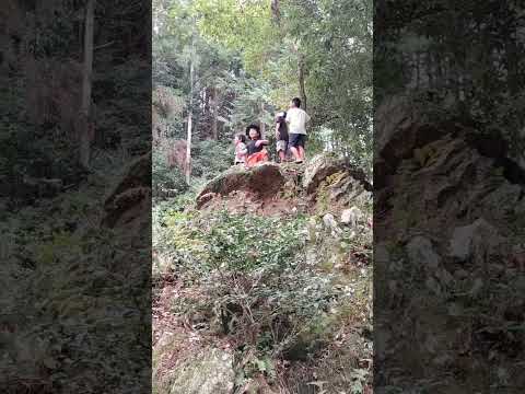 【俺らは山の山賊だー、小学生、山の散歩のびのびしています】