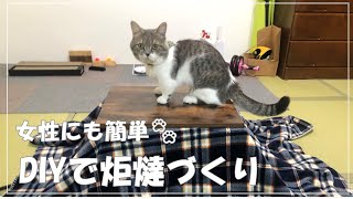 【猫と暮らす】とっても簡単！DIYでコタツづくり