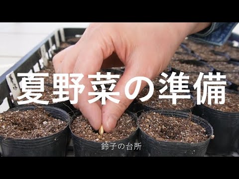 【夏野菜の準備】春のPotagerでひとりごと