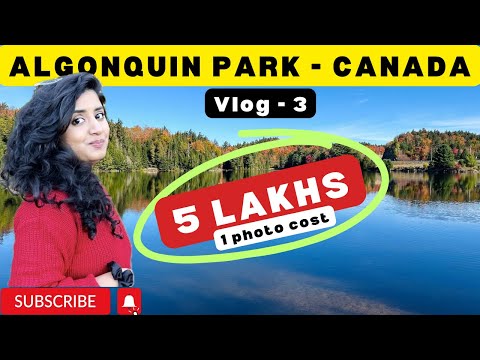 🤑What to do in Algonquin Park,Canada⁉️Vlog 3 | Tea Lake | Boutique |Art Center|Shopping | Cafe|Trek