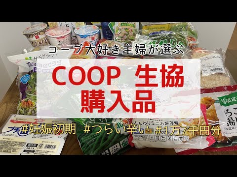 ［COOP購入品］つわりが辛くて買い物に行けなかった時のお買い物/約1万7千円分/第二子妊娠中アラサー専業主婦