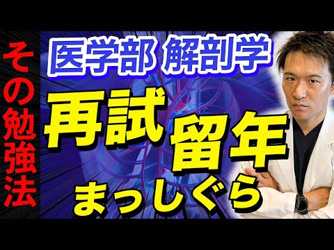 【もっと早く知りたかった】解剖学で９２％の医学生がつまずく原因は○○○でした…(医学部,CBT,OSCE,川崎医科大学,日本大学,帝京大学,杏林大学,岩手医科大学,東京大学)