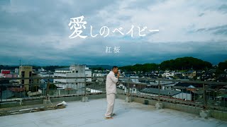 紅桜  -  愛しのベイビー / prod. by LIFESTYLE  (OFFICIAL MUSIC VIDEO)