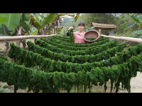 Harvest moss from the stream bed to dry as food. Cook meat with Stone moss specialty - Farm life