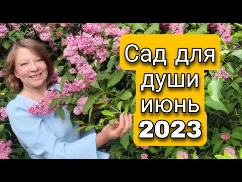 ПУТЕШЕСТВИЕ ПО ИЮНЬСКОМУ САДУ 🌷🌻🌲🍀💐 САД ДЛЯ ДУШИ ИЮНЬ 2023 | СВЕТЛАНА САМОЙЛОВА