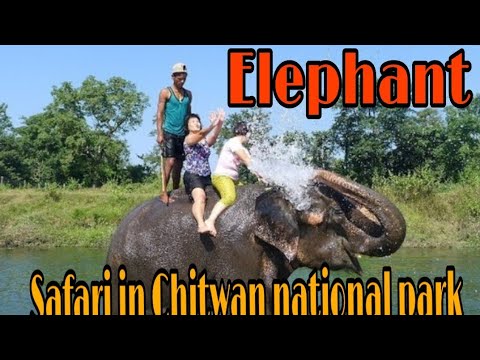 Hatti Ride/ elephant safari_ on _Chitwan national park nepal _2018_ vlog by Prakash Sanjel.