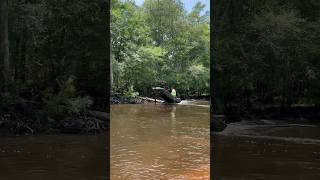 Jon boat with a long tail mud motor  jumping a tree in the river.