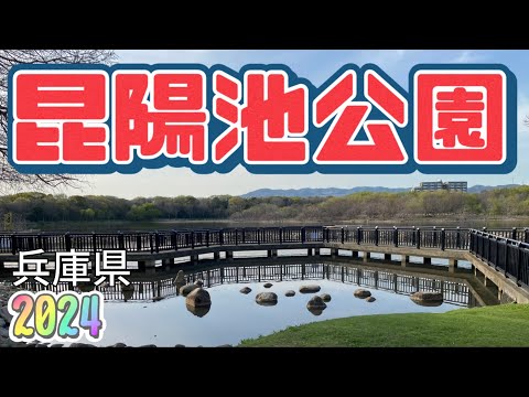 【行った気分】自然豊かな昆陽池公園 Koyaike Park~Full of Nature~