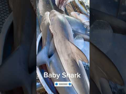 Baby Shark | Public Market #shark #travel #travelvlog #restaurant #thailand