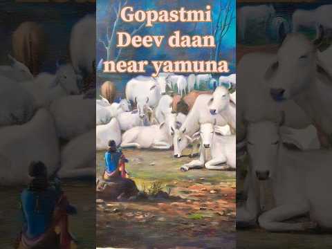 Day - 24 // Deep Daan// yamuna river #harekrishna #krishnadevotes #religion #radheshyam #radhe #love