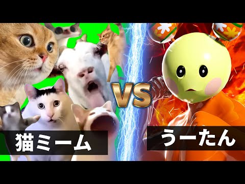 うーたん vs 猫ミーム軍団【NHK狂育バトル】【猫マニ魔界版】