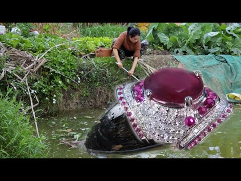 Open the treasure! A huge pearl clam with enchanting pearls was found in an abandoned fish pond