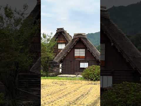 Shirakawago