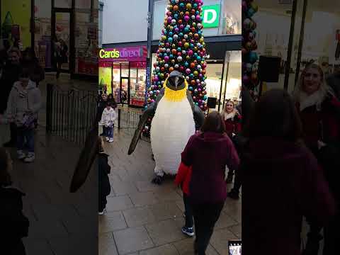 Giant penguin  #giant #penguin penguin #Christmas #shorts