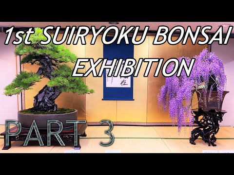 1st Suiryoku Bonsai Exhibition・第1回翠緑盆栽展 2022 - PART 3