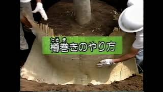 造園の技法 第1巻