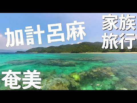 【奄美大島】まさかこれが本物の離島ってやつ…！？ in 加計呂麻島【家族旅行 vlog Day4】