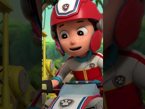 Everest and Pups save a baby Elephant in the Jungle! #pawpatrol #shorts