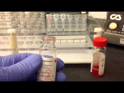 Blood Bank-Antibody Screen Gel (Ortho MTS)