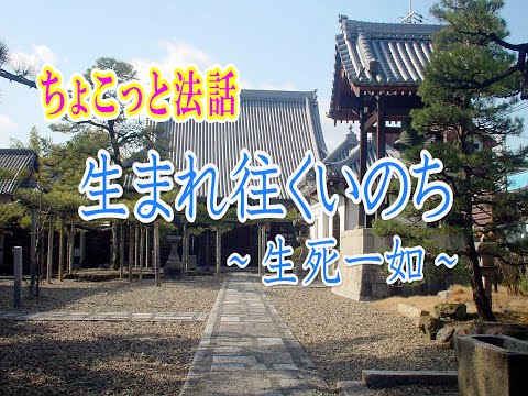 ちょこっと法話「生まれ往くいのち～生死一如～」