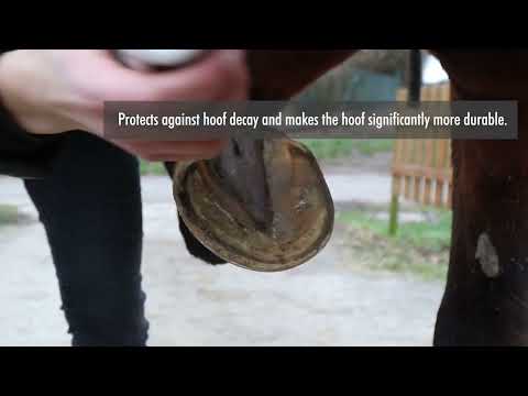 How to apply Leovet® Hoof Lab Hoof Hardener