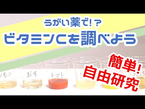 【お家で簡単！自由研究】うがい薬でビタミンC大研究！～ビタミンCが多く含まれる食品を調べてみよう～