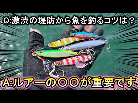 誰も釣れない激渋の堤防…ここから魚を引き出すには、とある「準備」が重要です