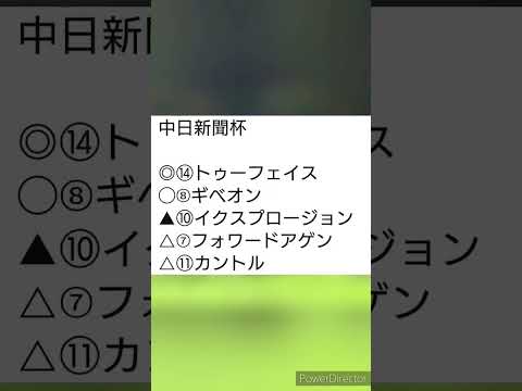 【ゆっくり】中日新聞杯 2022【競馬予想】 #shorts