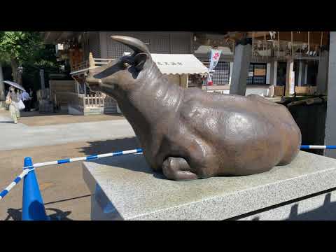 Yushima Tenjin (湯島天神) (東京都文京区湯島3丁目30-1) 2021-06