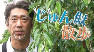 【新企画】じゅん似散歩〜荻窪編〜【原口あきまさ】