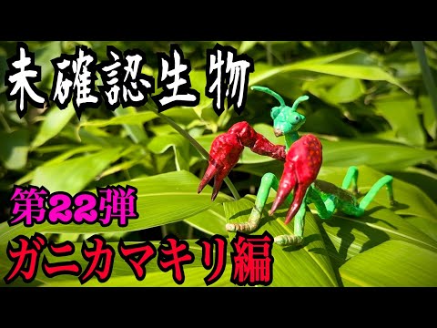 【未確認生物】ガニカマキリ見つけるまで帰れません！！！