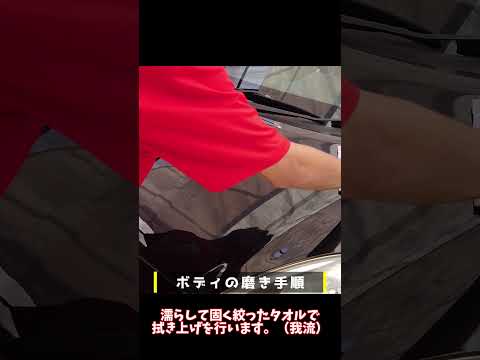 初心者にオススメのポリッシャー【ながら洗車】 #shorts