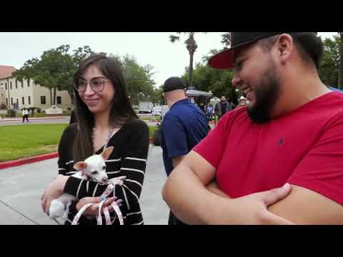 Spring Fling at TAMUK 2023