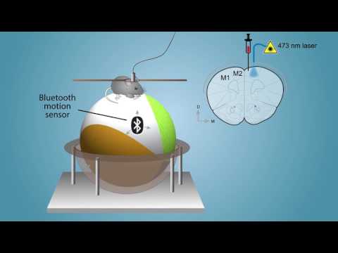 Shining light on neuromodulator function with iTango