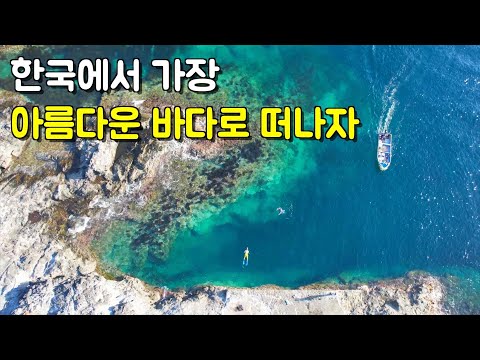 [수심 15M] 꽁꽁 숨겨져있는 다이빙 히든 스팟을 찾아서 - 울릉도 下