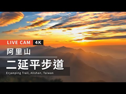 【4K Live】Eryanping Trail in Alishan, Taiwan｜4K Live cam-Alishan