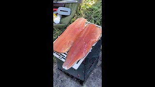 Catch & Cook Wild Trout! Bushcraft Camping 11K Wilderness #shorts