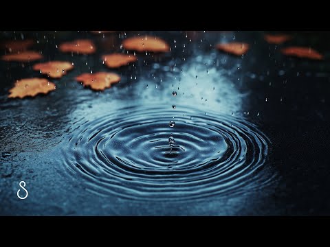 12 Hours Of Realistic Rain On Puddle Sounds For Sleeping | Relaxing Black Screen Rain Ambience