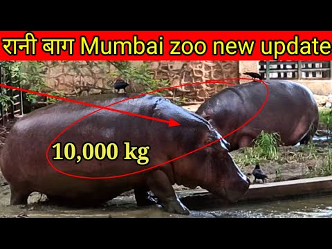 Mumbai zoo vlog /New update 2024/रानी बाग मुंबई जू /bycull zoo Mumbai /