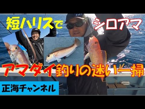 迷いが消えればアマダイ釣りはもっと楽しい　短ハリスの勧め