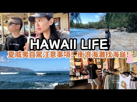 夏威夷自駕和台灣差很多嗎？衝浪海灘找海龜好療癒 | 夏威夷生活 Hawaii Life Ep4