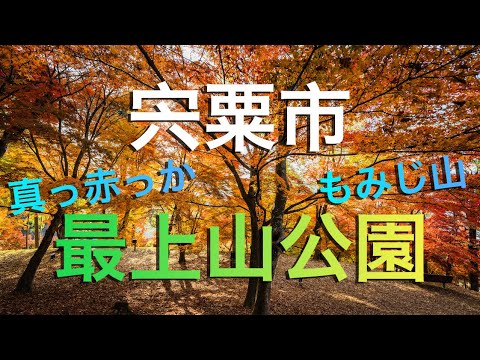 【宍粟市】最上山公園もみじ山で紅蓮の紅葉とはしゃぐ男/ A Beautiful Autumn Leaves Spot in Hyogo, Japan（Japanese Maple Mountain）