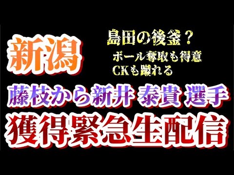 【ゲリラ生配信】アルビレックス新潟に藤枝MYFCから新井泰貴選手の完全移籍加入が決定【アルビレックス新潟/albirex/新井泰貴】