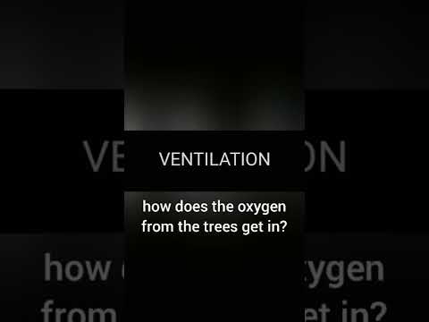 BIN&BIN | SUFFOCATION, VENTILATION, Flash card | How to say in Vietnamese