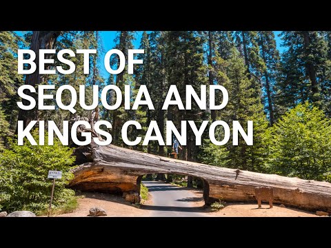 Top Things You NEED To Do In Sequoia & Kings Canyon National Park