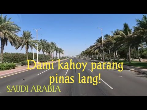 PARANG PILIPINAS LANG! PAG MAKA KITA KA NG GANITO KARAMI PUNO SA SAUDI! #Pinoyrfc